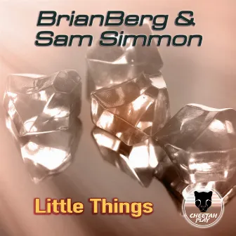 Little Things (Long Version) by Sam Simmon