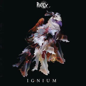 IGNIUM by Dj Radix