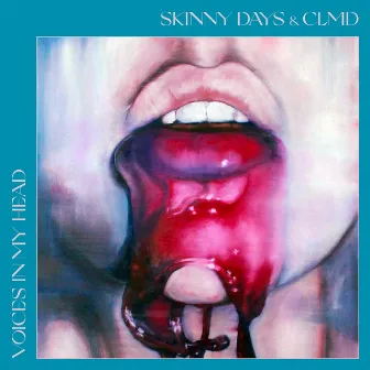 Voices In My Head by Skinny Days