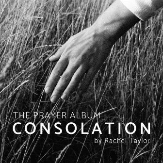 Consolation by Rachel Taylor