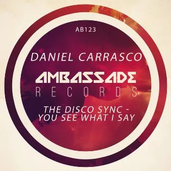 The Disco Sync - You See What I Say by Daniel Carrasco