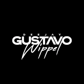 MEGA SEM TIK TOK (DJ GUSTAVO WIPPEL - DIGUINHO) by DJ Gustavo Wippel SC