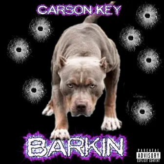 Barkin by Carson Key