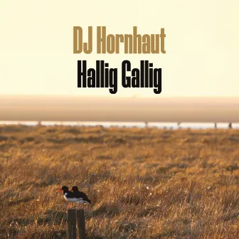 Hallig Gallig by DJ Hornhaut