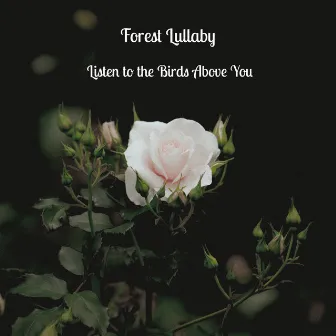 Listen to the Birds Above You by Forest Lullaby