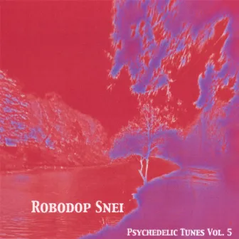 Psychedelic Tunes Volume 5 by Robodop Snei