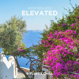 Elevated by Nico Belucci