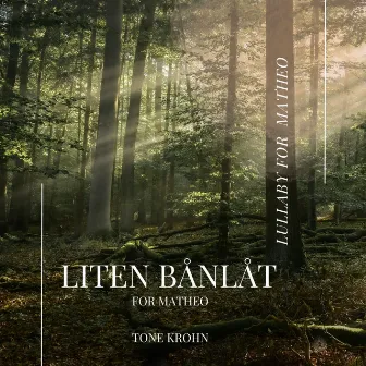 Liten bånlåt by Tone Krohn