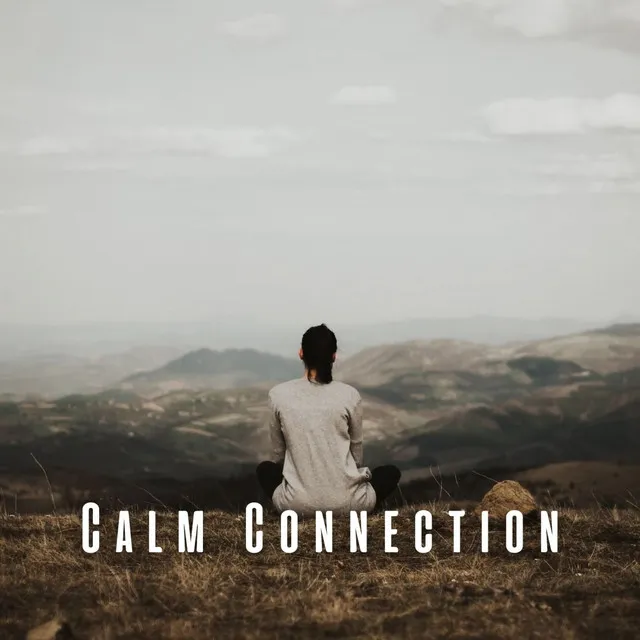 Calm Connection: Ambient Music for Guided Meditation