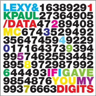 If I Gave You My Digits by Data MC