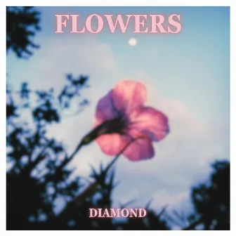 Flowers by Diamond