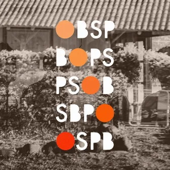 OBSP by OBSP