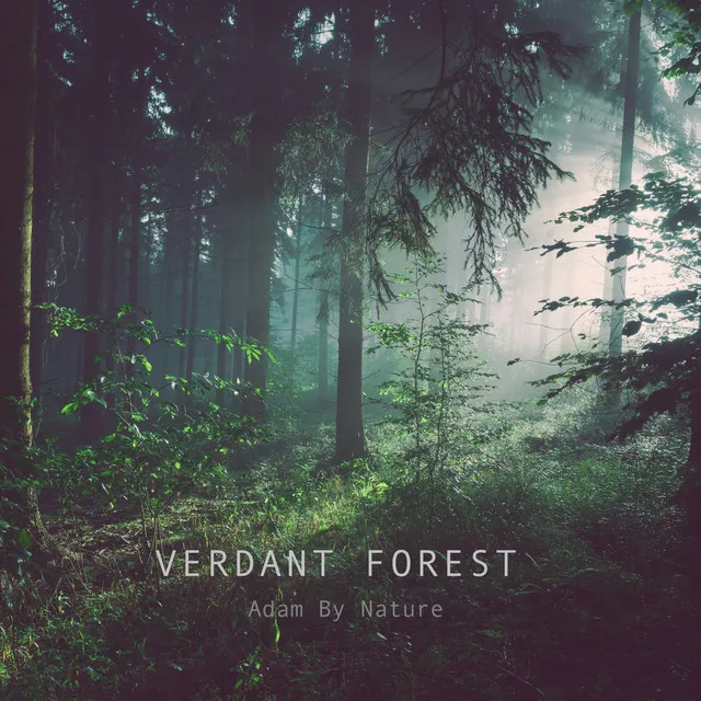 Verdant Forest