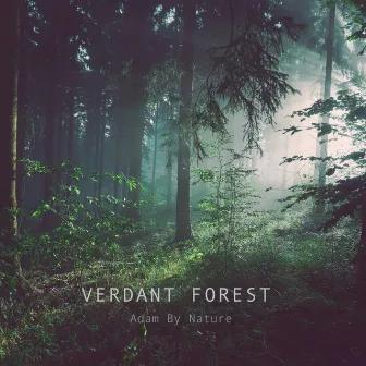 Verdant Forest by Adam By Nature