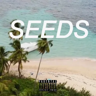 Seeds by Xavier Stone