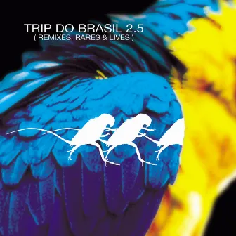 Trip Do Brasil 2.5 - Remixes, Rares & Lives by Trip Do