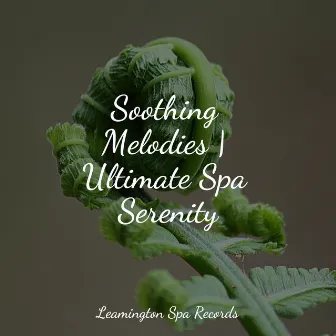 Soothing Melodies | Ultimate Spa Serenity by Spa Music Collective