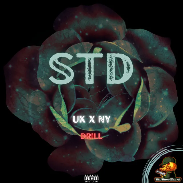 STD UK x NY Drill