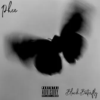 Black Butterfly by Phee