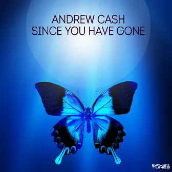 Since You Have Gone by Andrew Cash