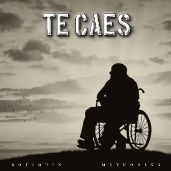 TE CAES by Methodiko