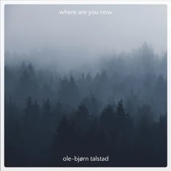 Where Are You Now by Ole-Bjørn Talstad