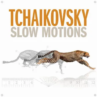 Tchaikovsky Slow Motions by Axel Gillison