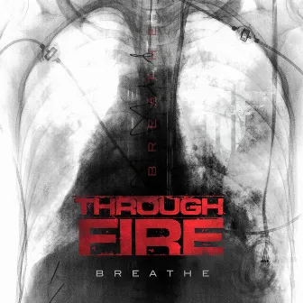 Jar Of Hearts by Through Fire