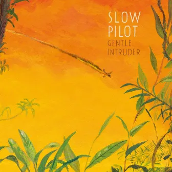 Gentle Intruder by Slow Pilot