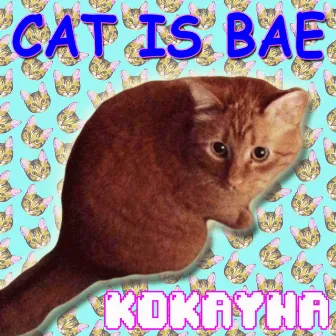 Cat Is Bae by KOKAYNA