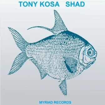 Shad by Tony Kosa