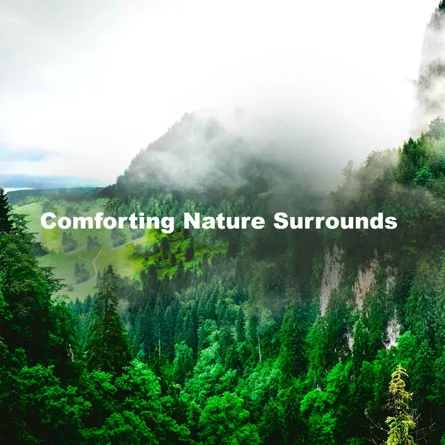 Comforting Nature Surrounds