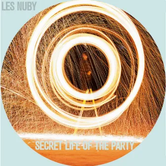 Secret Life Of The Party by Les Nuby