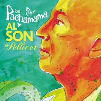 Los Pachamama al Son de Pellicer by Los Pachamama