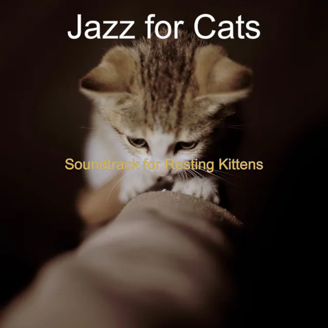 Music for Sleeping Cats