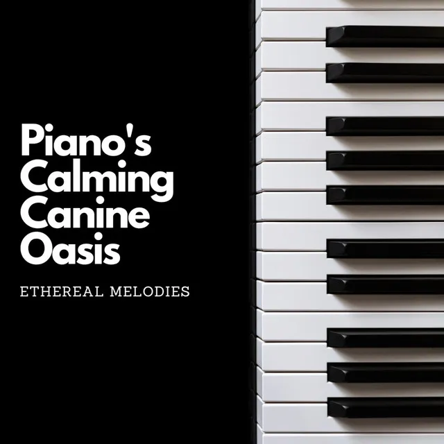 Piano's Calming Canine Oasis: Ethereal Melodies