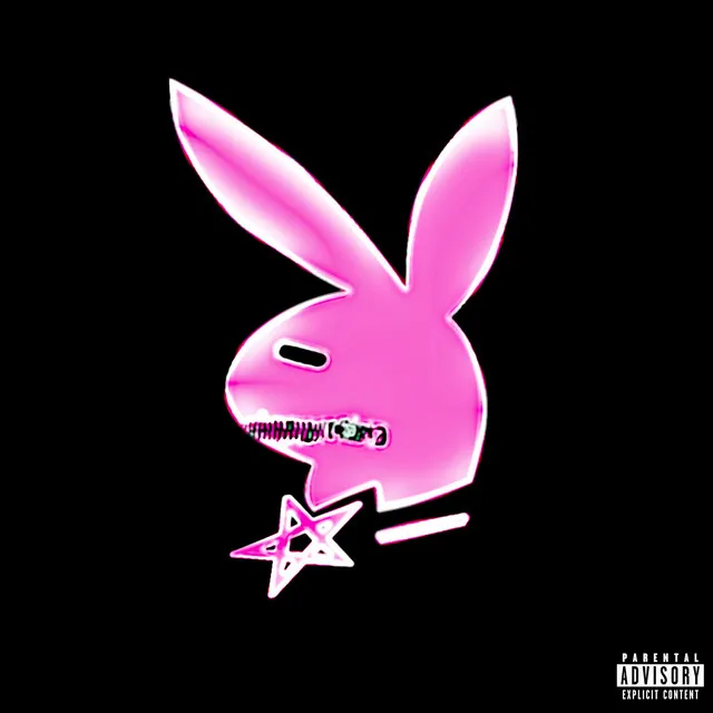 Playboy Bunny