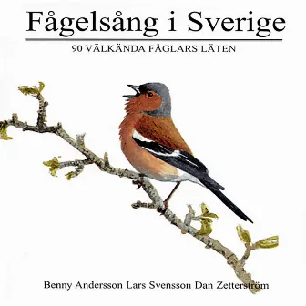 Fågelsång i Sverige - 90 välkända fåglars läten by Naturljud