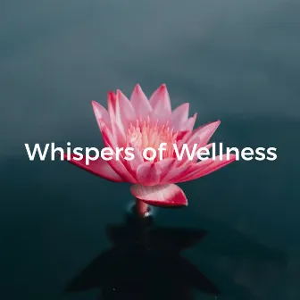 Whispers of Wellness: Calming Forest Soundscape by Crystal Singing Bowls Reiki Healing