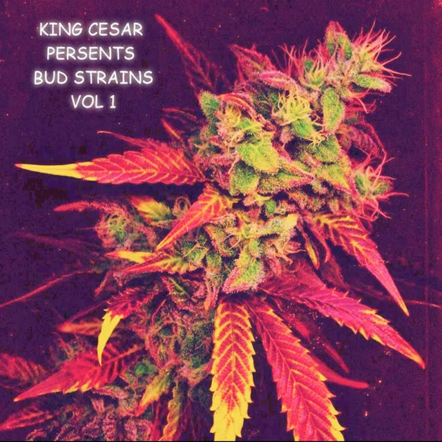 Bud Strains, Vol. 1 (LP)