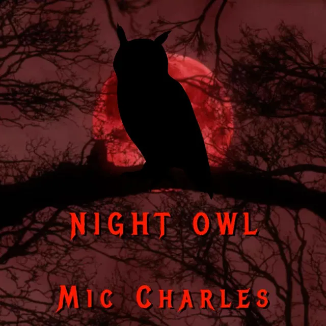 Night Owl