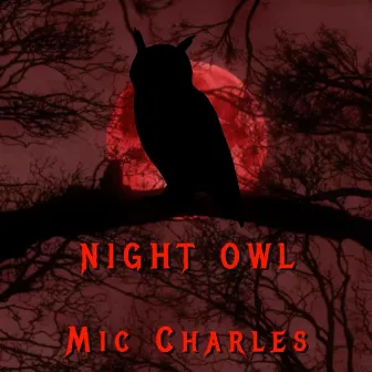 Night Owl by Mic Charles