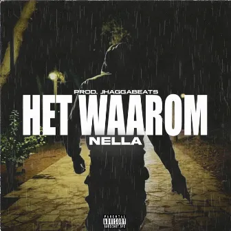 Het Waarom by Nella Priester