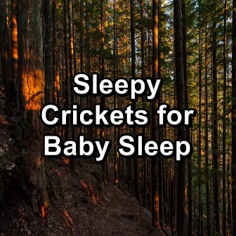 Sleepy Crickets for Baby Sleep by Crickets