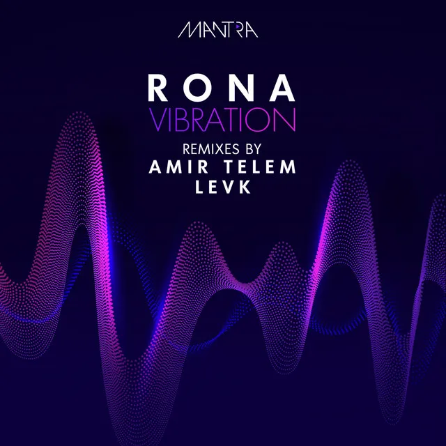 Vibration - Amir Telem Remix