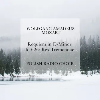 Requiem in D Minor, K. 626: Rex Tremendae by Polish Radio Symphony Orchestra