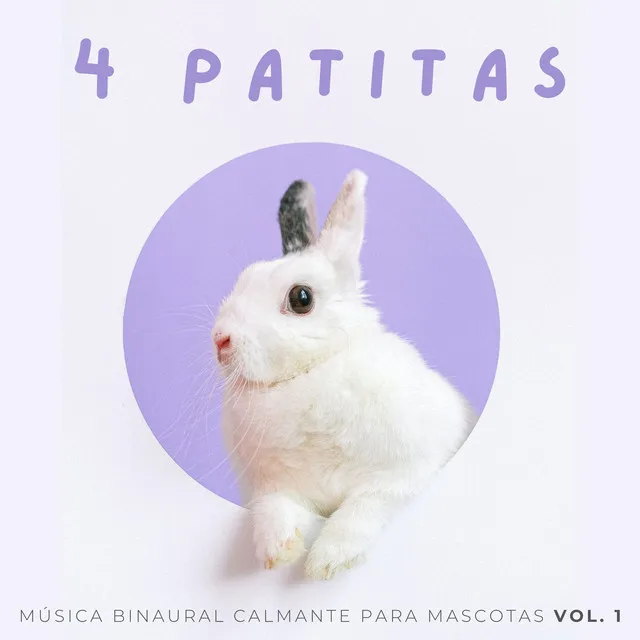 4 Patitas: Música Binaural Calmante Para Mascotas Vol. 1