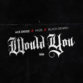 Would You by Ace Diggz