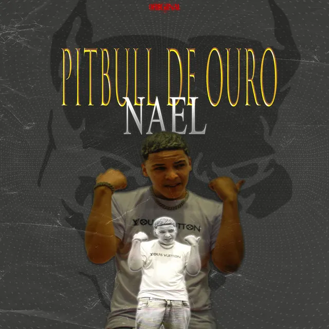 Pitbull de Ouro