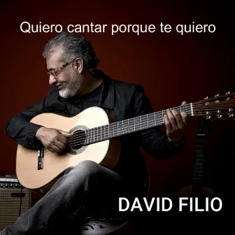 Quiero cantar porque te quiero (Acoustic Version) by David Filio